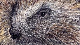 Another Life: Fond of casual sex, even fonder of sleep. Meet the hedgehog