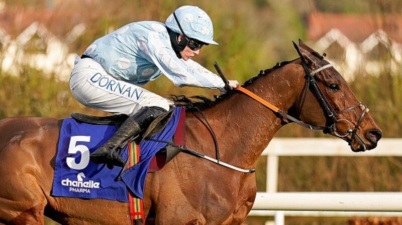Honeysuckle comes into the Champion Hurdle as favourite. Photograph: Alan Crowhurst/Getty Images