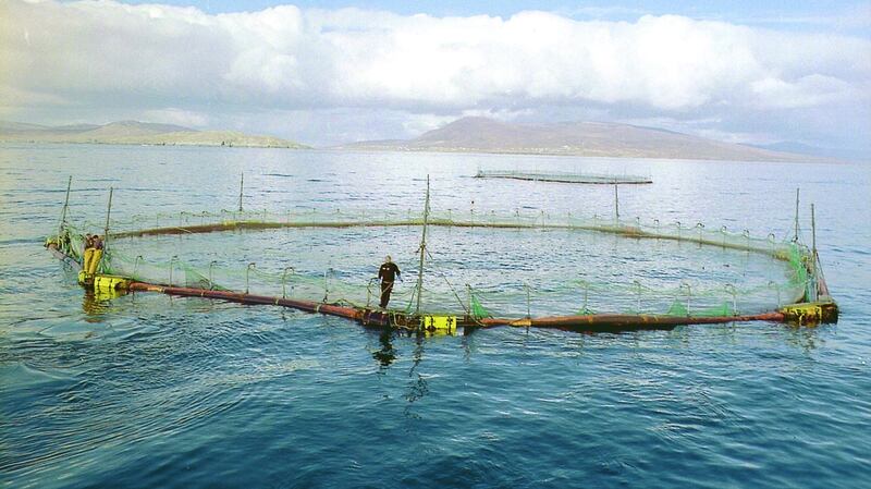 Sea farm in Clew Bay, Co Mayo. Photograph: Liam Lyons