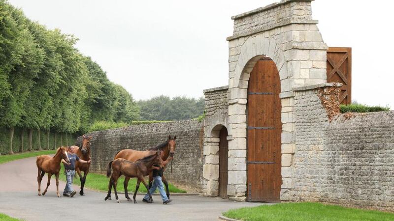 Ballylinch Stud, in Thomastown, Co Kilkenny: another of Malone’s Irish acquisitions