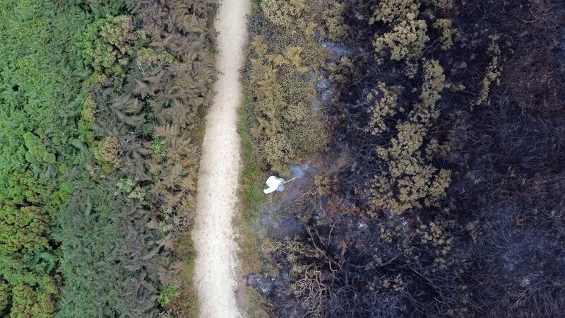 View of a gorse wildfire in Howth, Co Dublin. Photograph: Tom Honan
