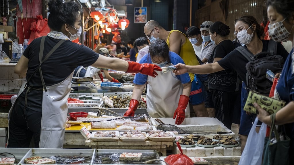Bruno Maçães argues against scientists and environmental experts who say Covid-19 is an extreme example of a zoonotic disease caused by humans’ increasing encroachment into and destruction of the natural habitats of other species. Photograph: Vernon Yuen/NurPhoto via Getty Images