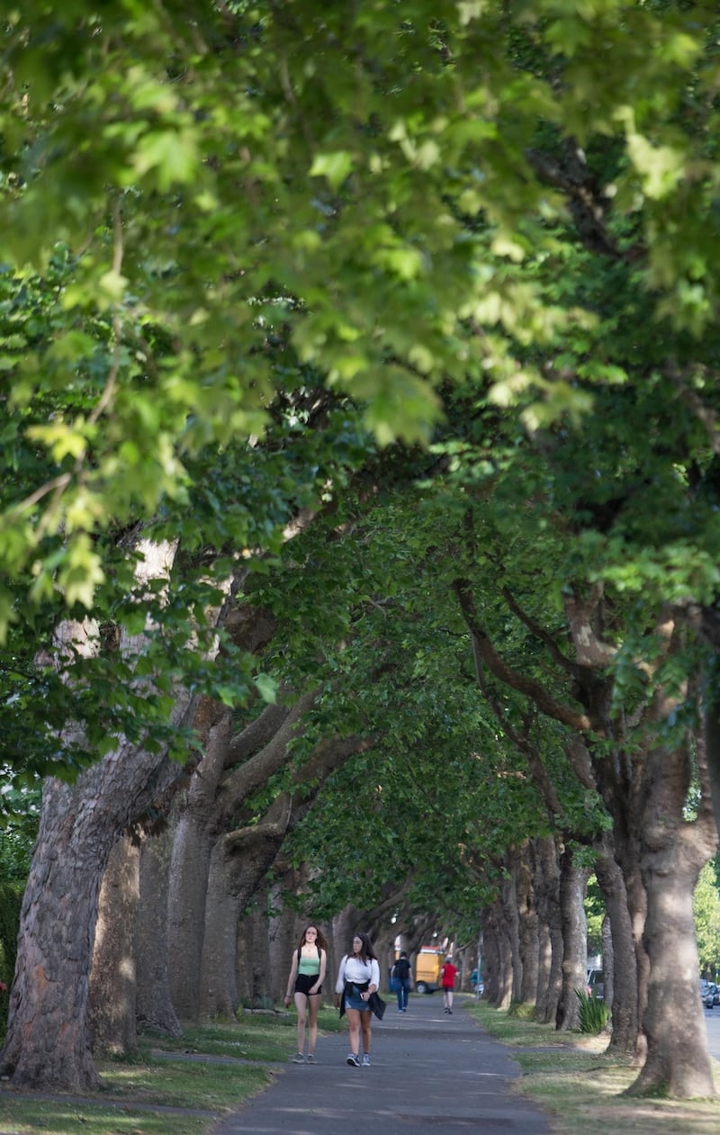 Griffith Avenue, Dublin 9. Photograph: Tom Honan