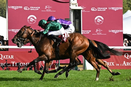 Minnie Hauk narrowly edged out of Prix de l’Arc de Triomphe glory by Daryz