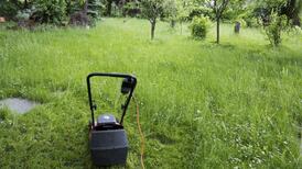 Taking care of gardens in rented properties
