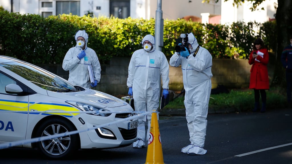 Gardaí believe a feud between two groups of men in south Co Dublin was at the centre of the stabbing murder of Derek Reddin in Loughlinstown. Photograph: Nick Bradshaw/The Irish Times.
