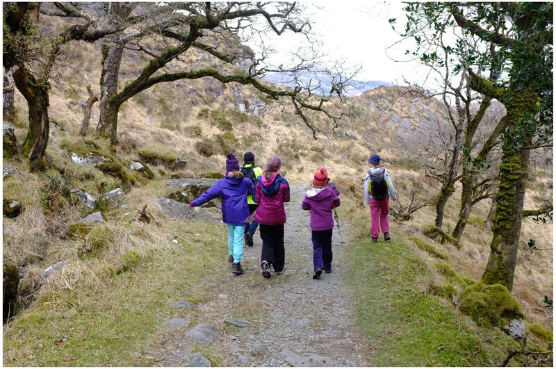 The Kerry Way isn’t just one route, but offers a confusing maze of alternative trails. Photograph: Bryan O'Brien