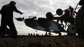 Storm Ali blows National Ploughing Championships into €500,000 loss