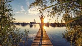 Accepting ‘pseudo-profound bulls**t’ linked to lower intelligence