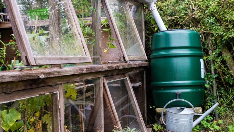 Whatever the outcome with water charges, rainwater is a free and plentiful resource for those prepared to harvest it