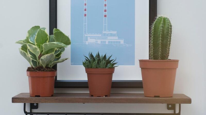 Items in Caroline Foran’s home in Drumcondra. Photograph: Dave Meehan