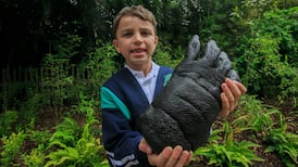 Stuffed animals are Dublin Zoo’s latest weapon for educating children