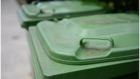 Panda claims new green bin charge will average €21 a year