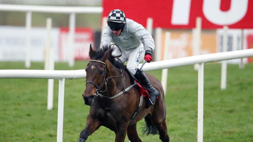 Morning Assembly: “He’s a smashing horse with a really big future.”