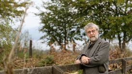 Michael Harding: A squadron of midges attempted to penetrate the General’s hide without success