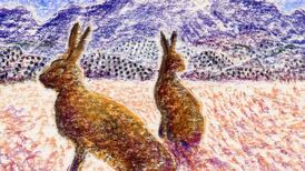 Michael Viney: The false widow spider is not dangerous, but ...