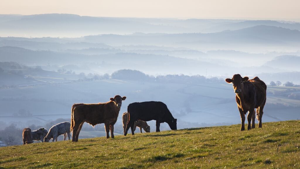 The price of farm land is set to rise by 6 per cent this year, according to a new report. Photograph: iStock