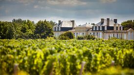 The Irish connection to an illustrious wine family in Bordeaux