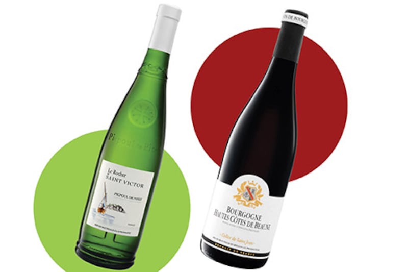 Two great French wines from Lidl to drink alone or with food