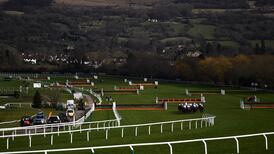 Open minds advised in review of Cheltenham fatalities
