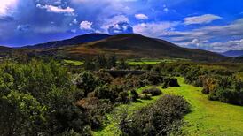 Calls for greater urgency with Irish climate actions in light of IPCC report