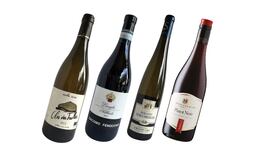 Perfect wines to go with a classic autumnal dish