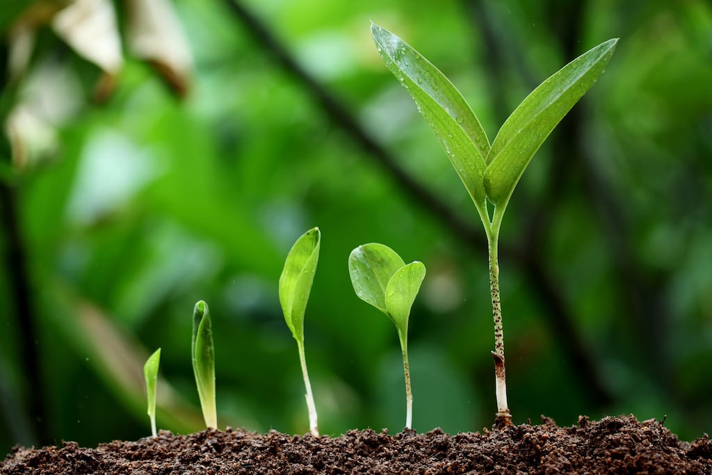 Do faith and reason contradict each other? Photograph: Getty Images