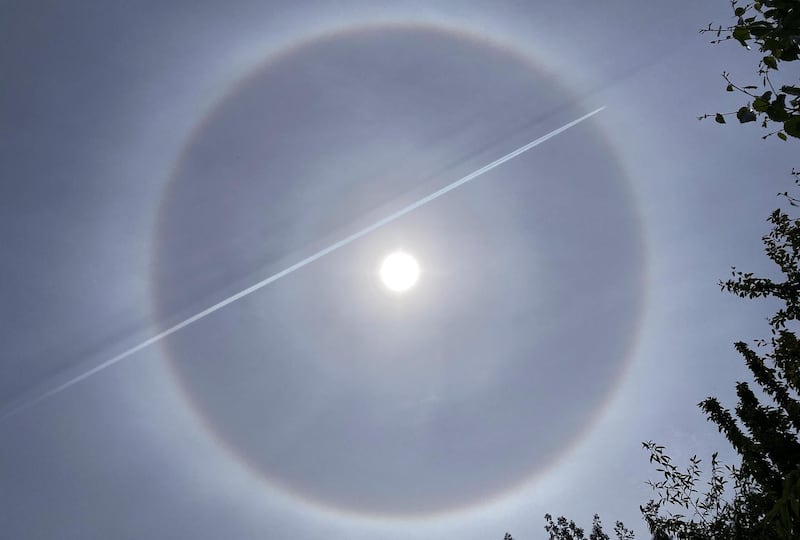 Photograph: Bryan O Brien