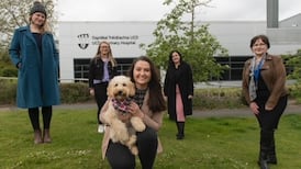 Comparing cancer clues in dogs and humans