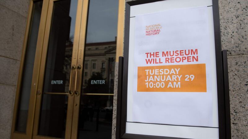 The Smithsonian National Museum of Natural History was one of the many museums and federal organisations closed for 35 days. Photograph: Saul Loeb/AFP/Getty Images