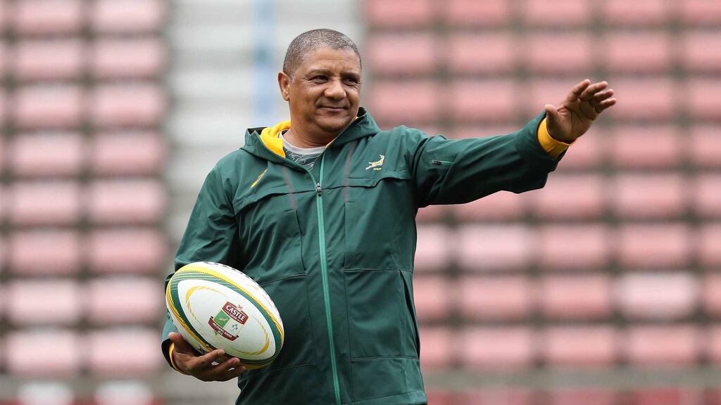 South Africa coach Allister Coetzee. Photograph: Billy Stickland/Inpho