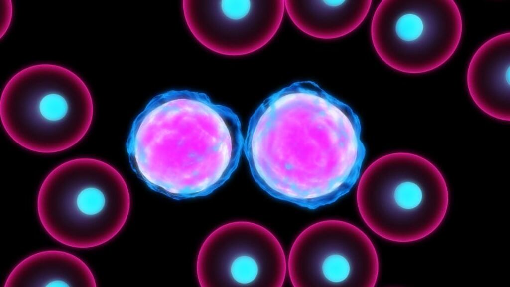 Leukaemia is cancer of the white blood cells and bone marrow, but it is complicated as it is a whole science in itself. Photograph: Thinkstock