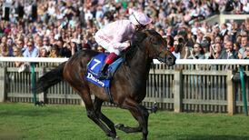 Too Darn Hot retired after picking up career-ending injury