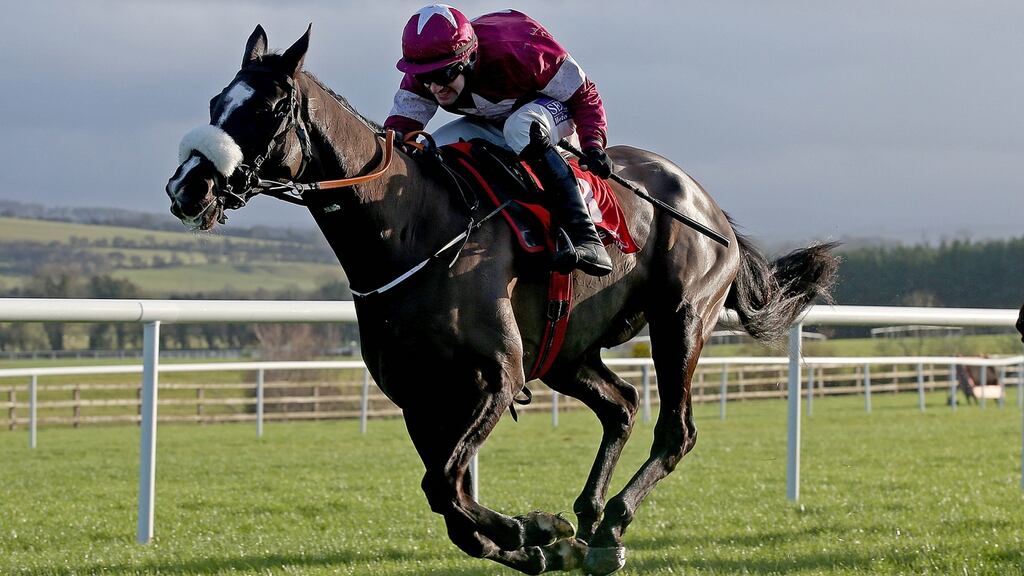 Don Cossack will be bidding to cement his Cheltenham Gold Cup credentials with victory at Down Royal on Saturday. Photograph:Donall Farmer/Inpho