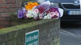 No obvious signs of injury on remains of McGinley children