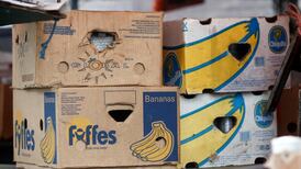 Banana battle enters a critical phase