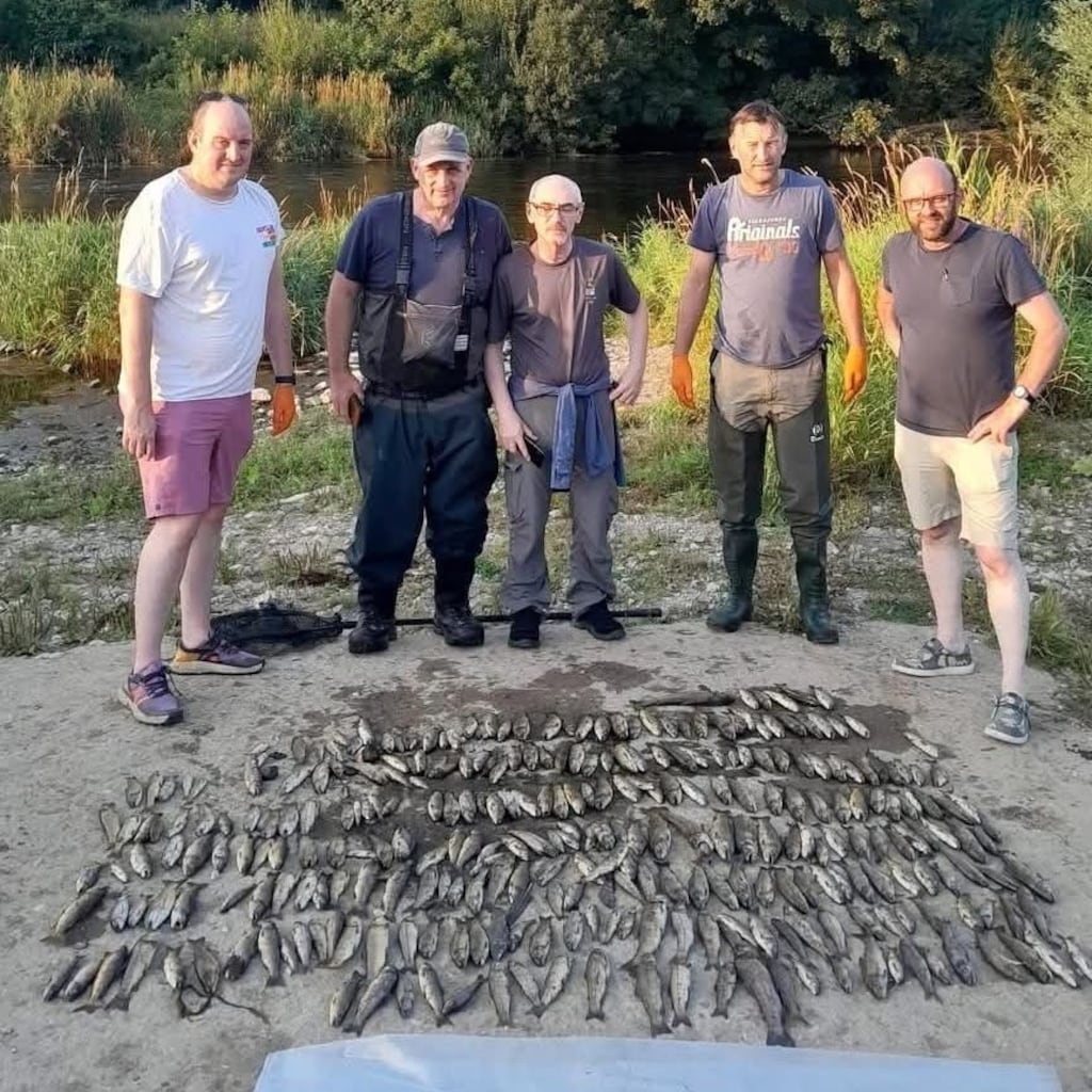 Members of Mallow Trout Anglers with dozens of dead brown trout they recovered from the Blackwater. Photograph: Mallow Trout Anglers