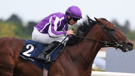 Biggest Derby field for 22 years underlines unpredictability of Epsom classic