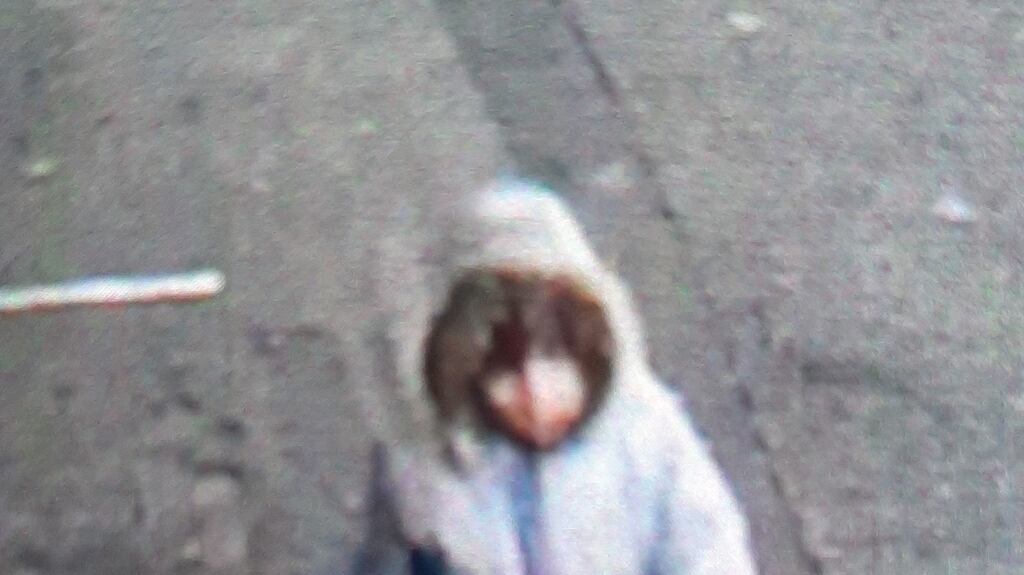 Handout CCTV image issued by PSNI of a young girl wearing a distinctive lilac coat with a fur trim around the hood. Photograph: PSNI/PA