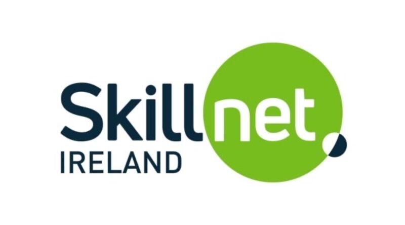 The Sustainability category is sponsored by Skillnet Ireland.