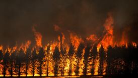 Australia: ‘It’s like the fire is a sentient being. It feels like it’s coming to get us’