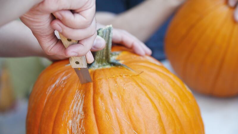 A man cuts a lid from a pumpkin as he prepares a jack o' lantern.