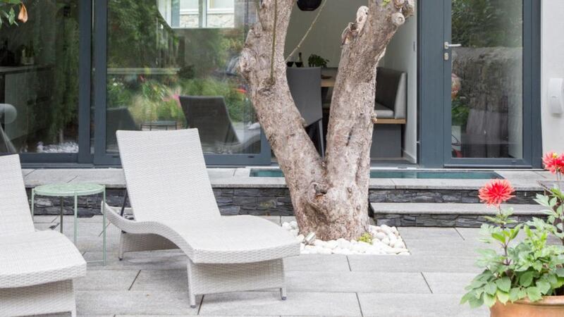 Build your terrace around a mature tree, like the apple here, in the back of a mews house project in Ranelagh by Phillippa Buckley of Studio 44.