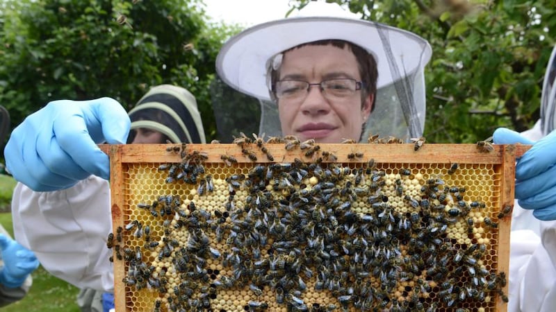 Gráinne Downey braves the hive. Photograph: Cyril Byrne