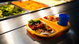Suppliers pulling out of school meals scheme due to rising food costs, Minister says