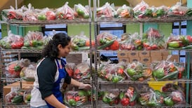 Judge blocks suspension of Snap food aid during US government shutdown