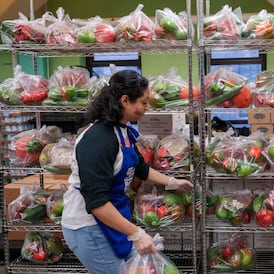 Judge blocks suspension of Snap food aid during US government shutdown