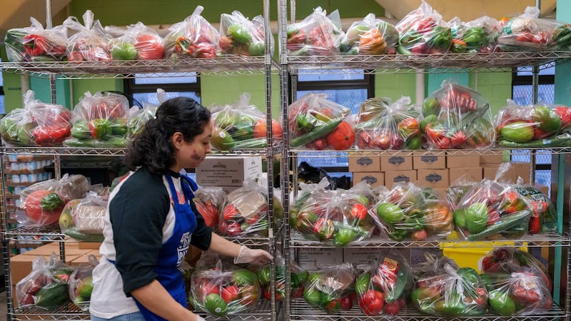 Judge blocks suspension of Snap food aid during US government shutdown