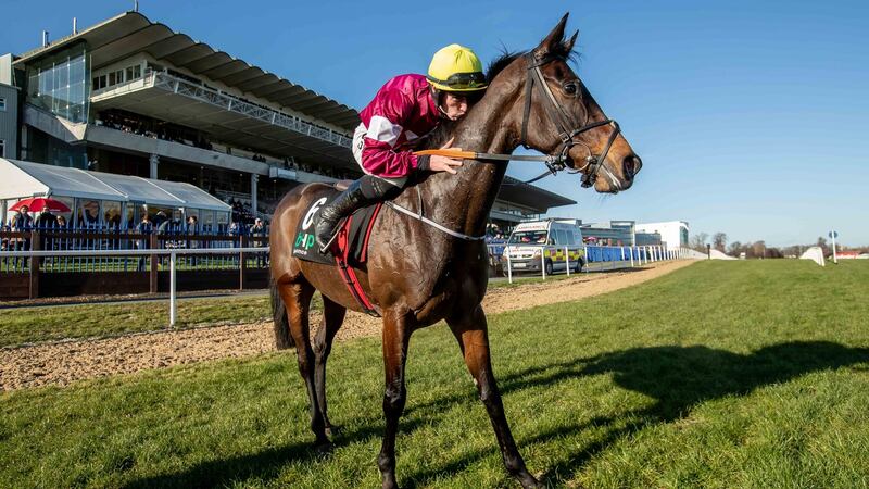 Jack Kennedy celebrates Apple’s Jade’s win in the Irish Champion Hurdle at Leopardstown in February. Photograph: Morgan Treacy/Inpho