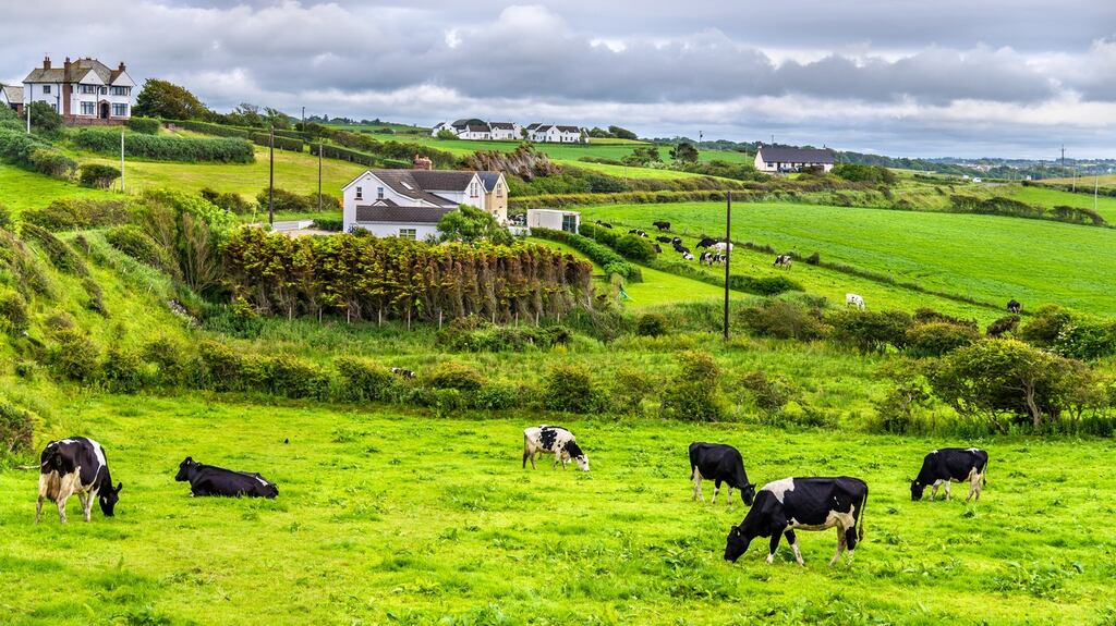 Among the issues discussed were Cap reform, input prices, the Brexit Adjustment Reserve, taxonomy and live exports. Photograph: iStock
